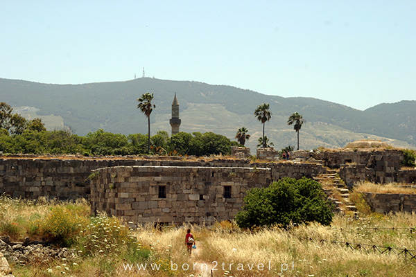 Średniowieczne mury, minaret, palmy i wzgórza w oddali.