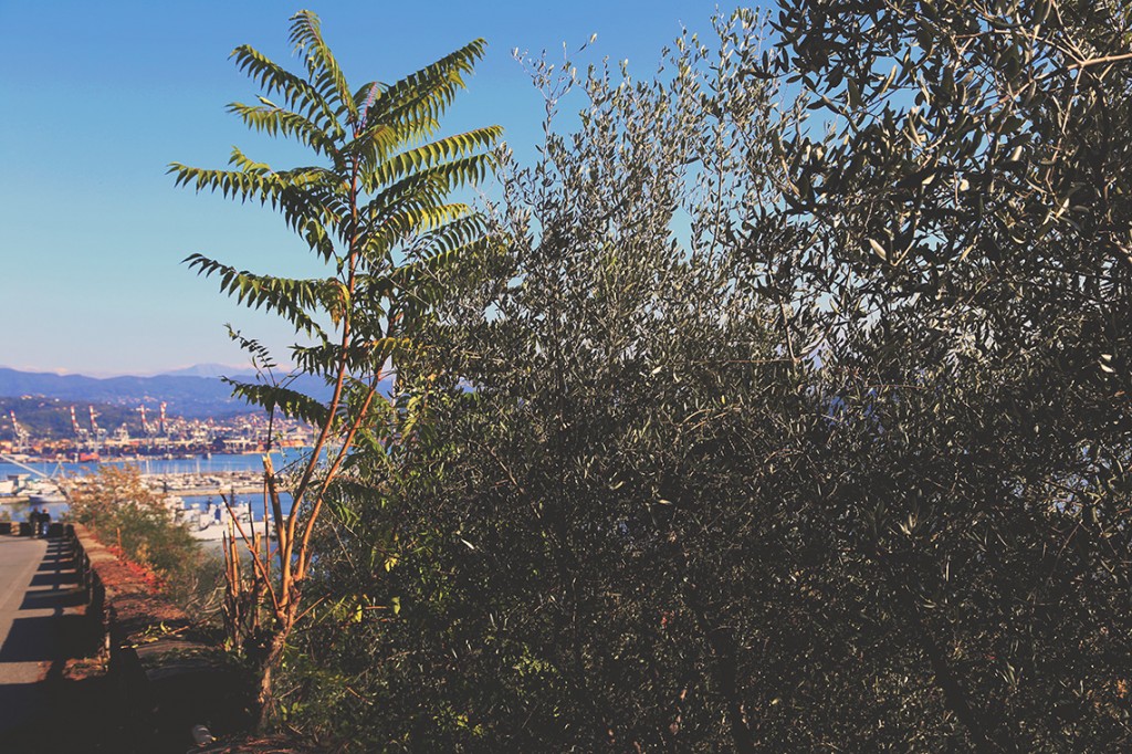 W powietrzu unosił się charakterystyczny, śródziemnomorski zapach rosnących na wzgórzu roślin.