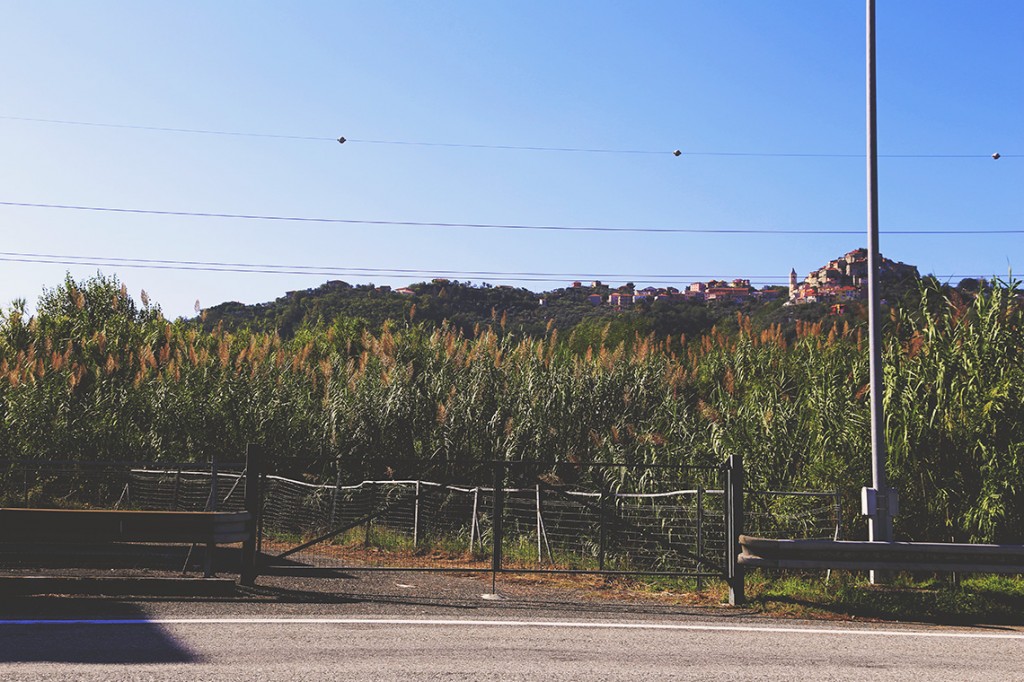 Moje ulubione trawy pampasowe rosnące tuż przy zjeździe z autostrady. Na szczycie wzgórza - jedno z włoskich miasteczek.