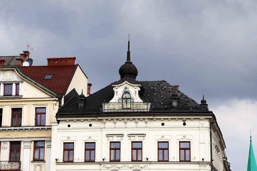 Oblegany przez gołębie Dom Narodowy.