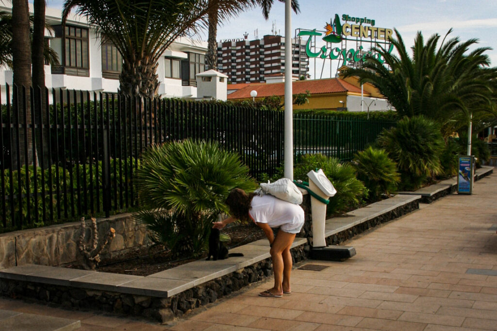 Głaskanie lokalnych kotów w Maspalomas. Gran Canaria 2010