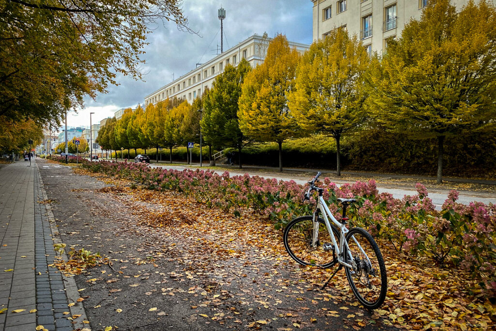Jesienne rowerowe przejażdżki po Gdyni