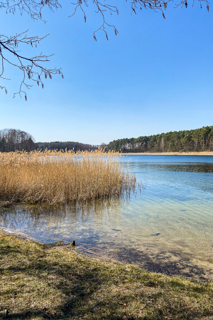 Jezioro Jezuickie, Piecki koło Bydgoszczy